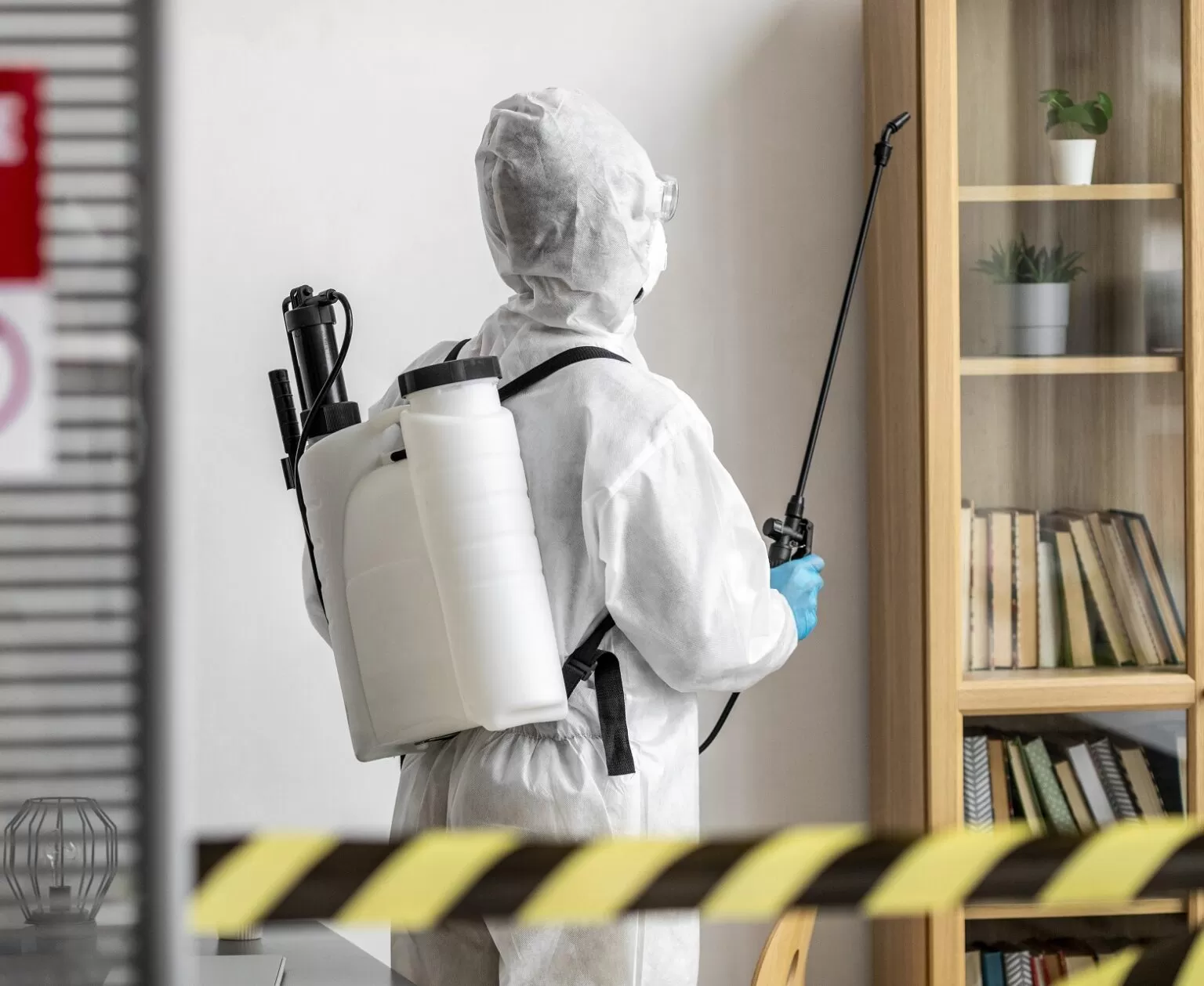 Mold Removal Services