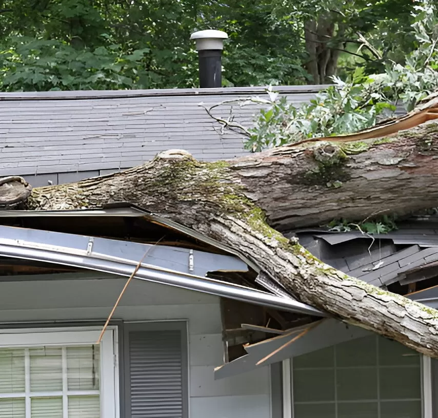 Storm Damage Restoration